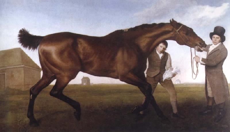 George Stubbs hambletonian,rubbing down oil painting picture
